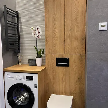 Apartament Kamienna 28 Z Prywatna Sauna Wisla Exterior photo